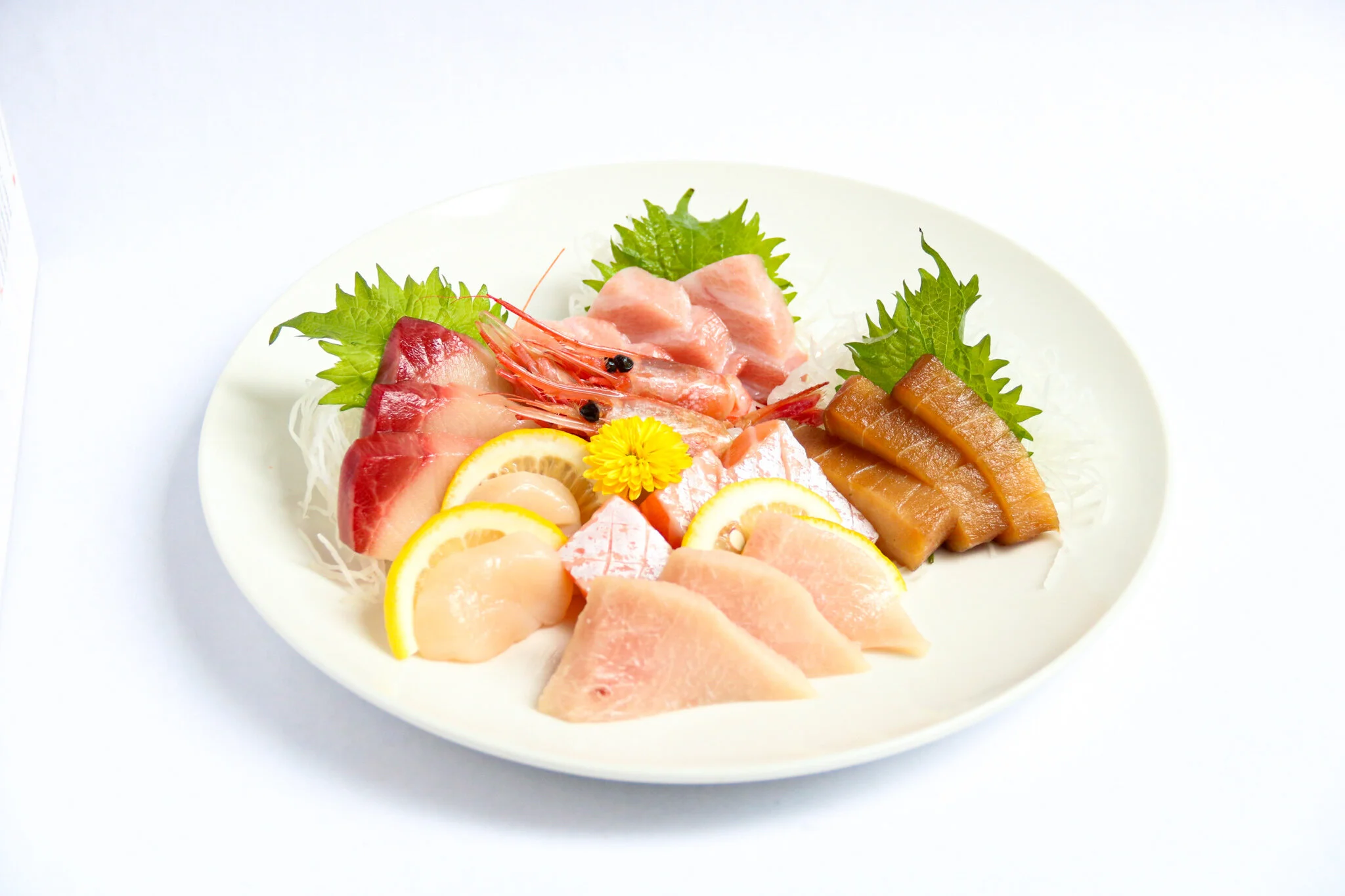 洋書　sushi & sashimi 洋書 sushi & sashimi 洋書 sushi & sashimi ZX Sushi